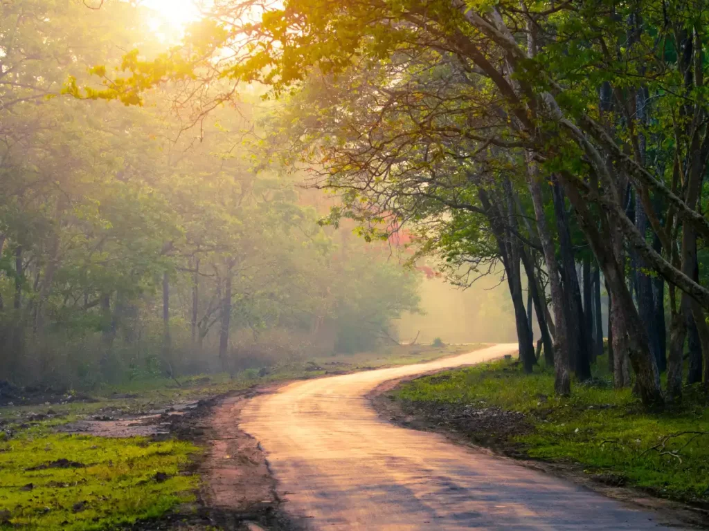 Gupteswar Forest ias toppers