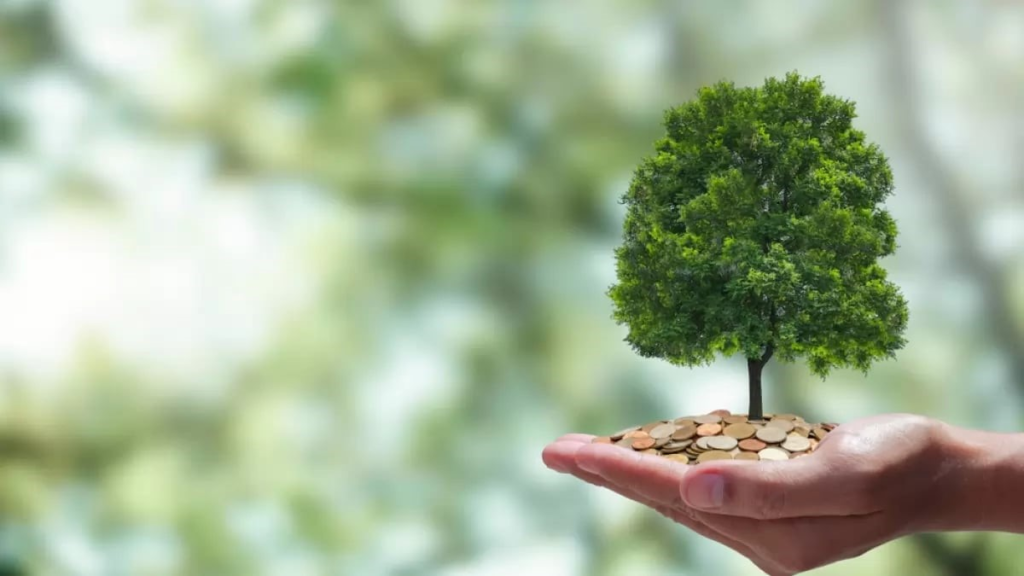 Transition to Sustainability