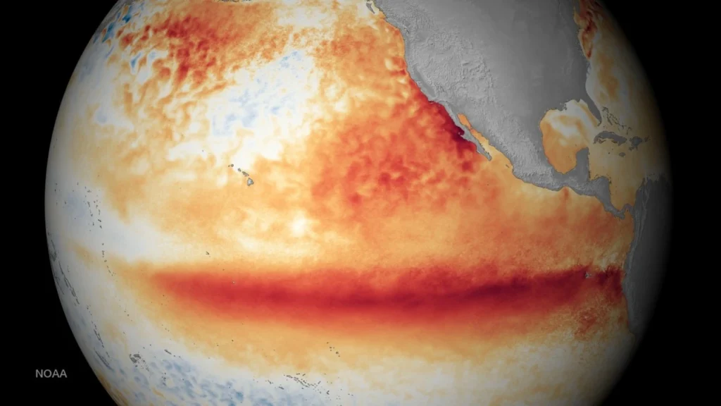 Pacific Ocean free from El Nino conditions