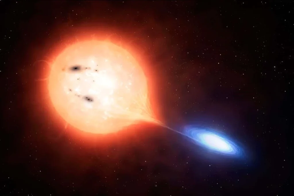 Symbiotic Star