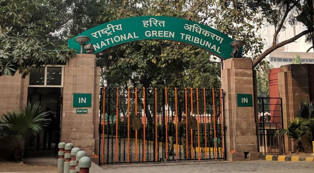 national-green tribul ias toppers