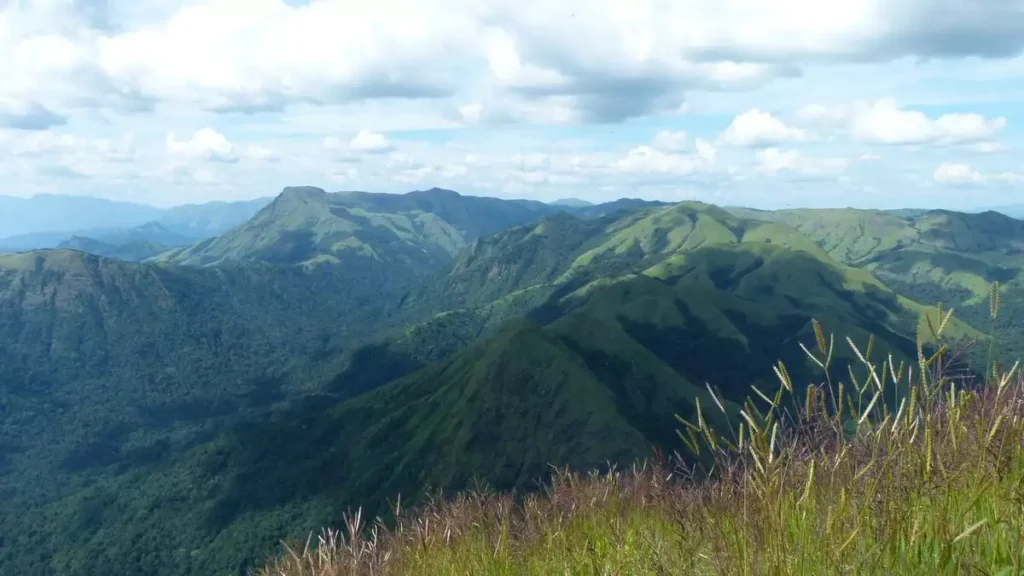 Study on Woody Encroachment