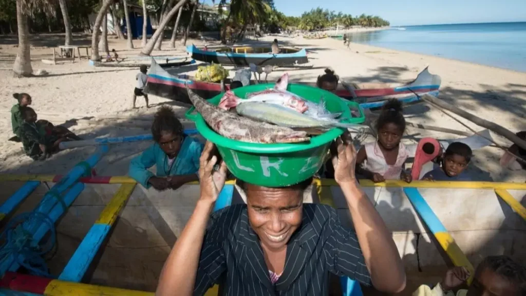 FAO COFI (Food and Agriculture Organisation Committee on Fisheries) Sub-Committee on Fisheries Management