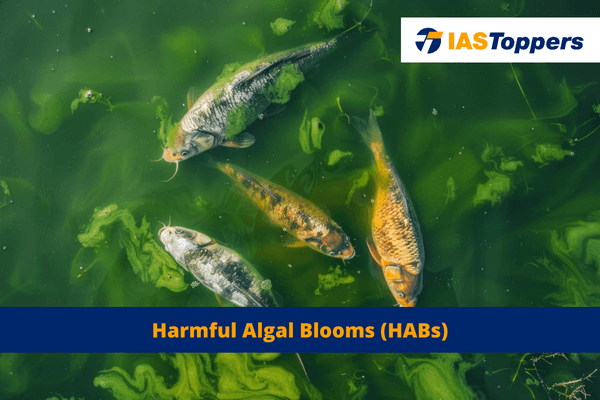 Harmful Algal Blooms IAS TOPPERS.