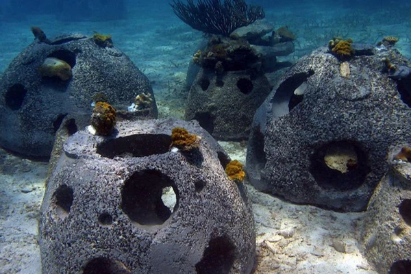 Artificial Reefs