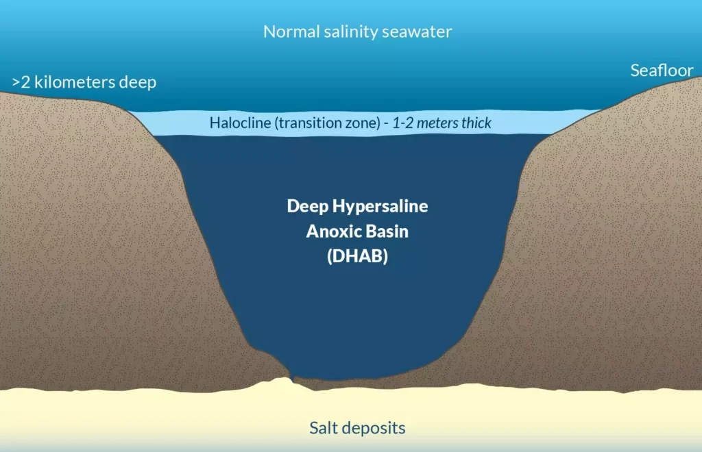 Anoxic marine basins 2