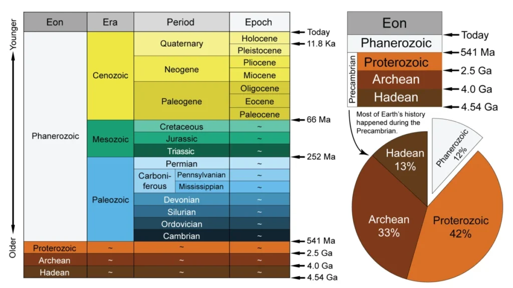 Anthropocene Epoch1