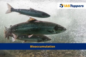 bioaccumulation diagram IAS Toppers