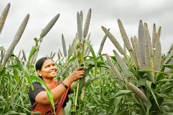 Biofortified Seeds ias toppers