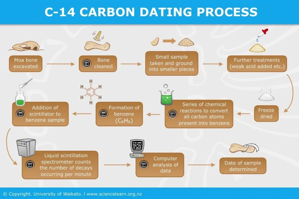 Carbon Dating Process IAS Toppers