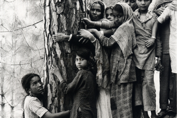 Chipko Movement IAS Toppers