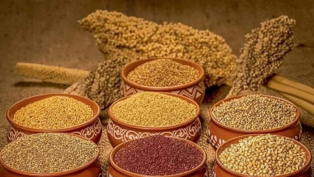 International Year of Millets 2023