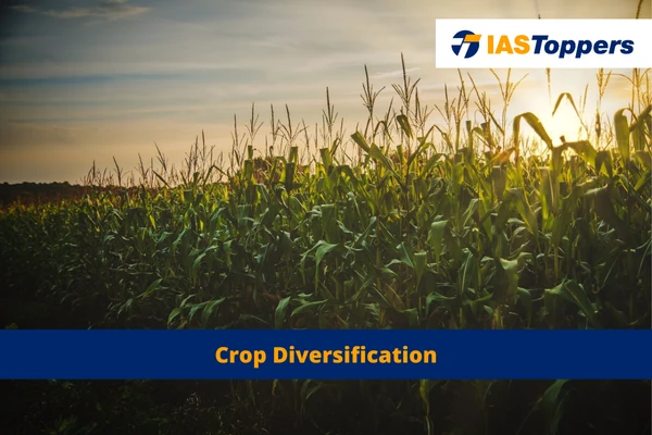 Crop Diversification IAS Toppers