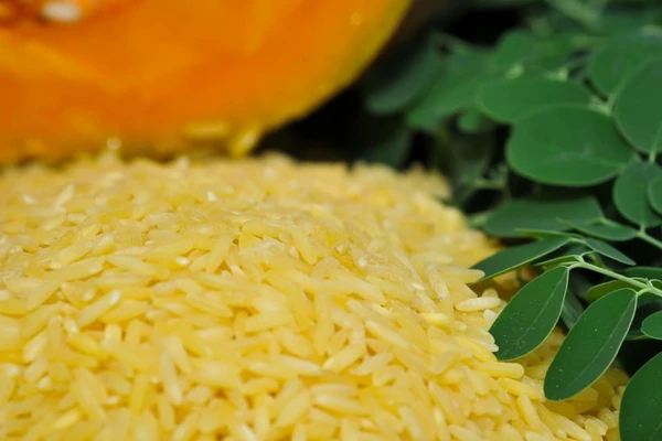 Golden rice