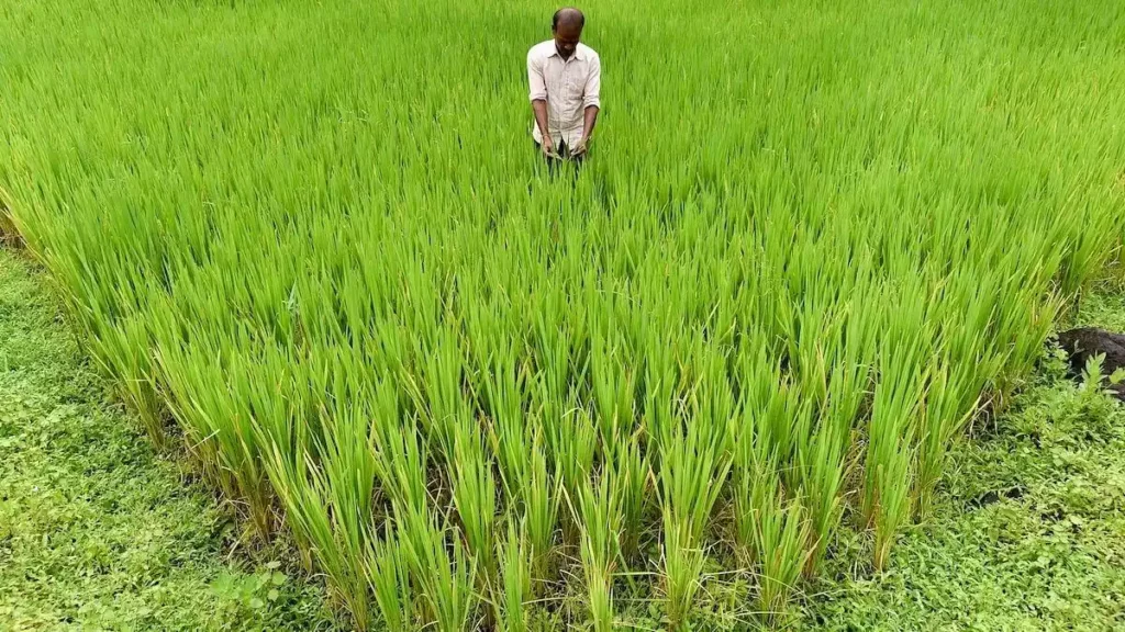 Indian Agriculture ias toppers