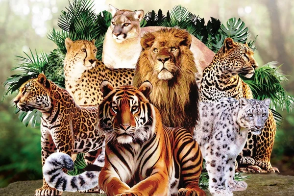 International Big Cat Alliance (IBCA) IAS TOPPERS