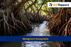 Mangrove ecosystem IAS Toppers