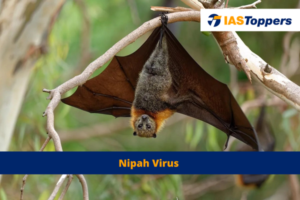 Nipah Virus IAS Toppers