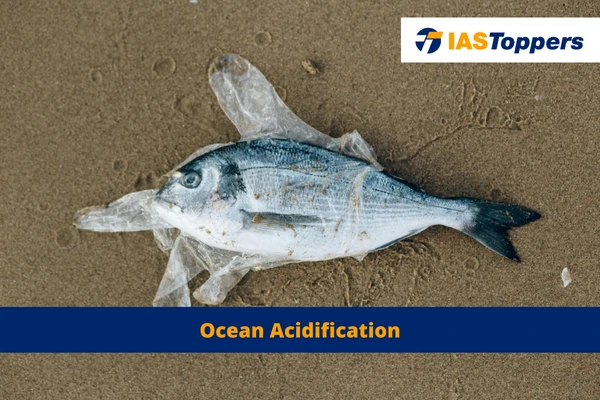 Ocean Acidification IAS Topper