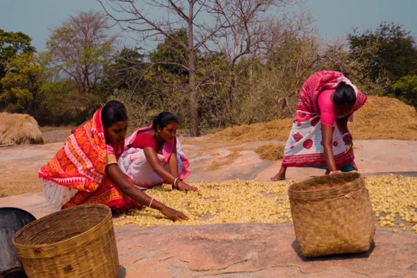 Odisha Launches LABHA Yojana (‘Laghu Bana Jatya Drabya Kraya’) | UPSC ...