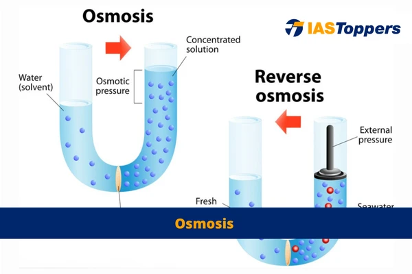 Osmosis IAS Toppers