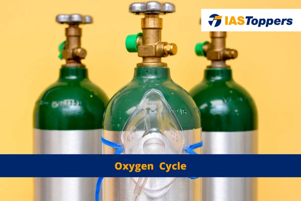 Oxygen Cycle ias toppers