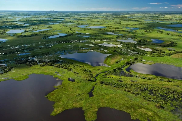 Pantanal Wetland