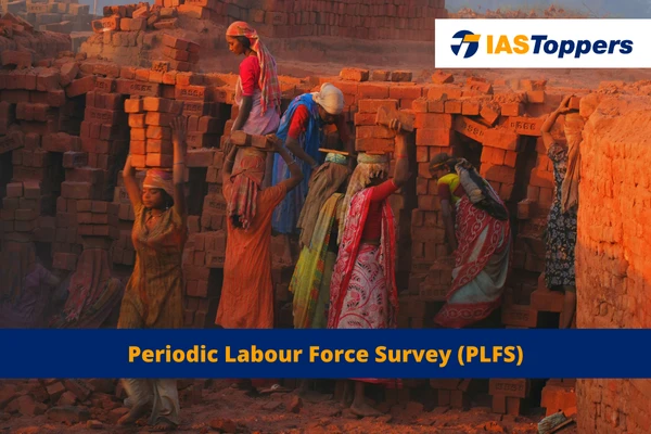 Periodic Labour Force Survey (PLFS) IAS Toppers