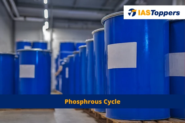 Phosphrous Cycle ias toppers