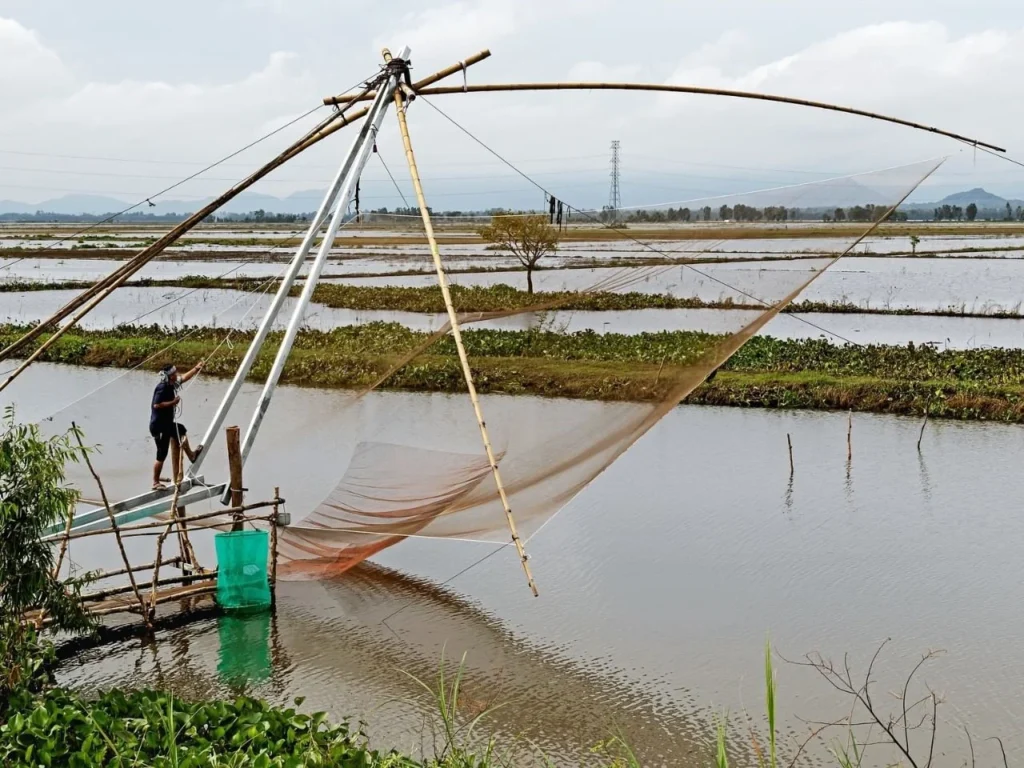 Pradhan Mantri Matsya Kisan Samridhi Sah-Yojana (PM-MKSSY)