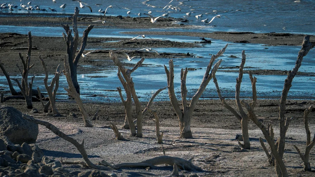 Salton Sea