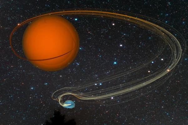 Symbiotic Star