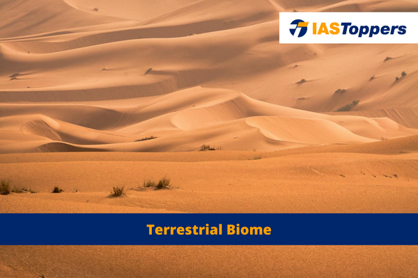 Terrestrial Biome ias toppers