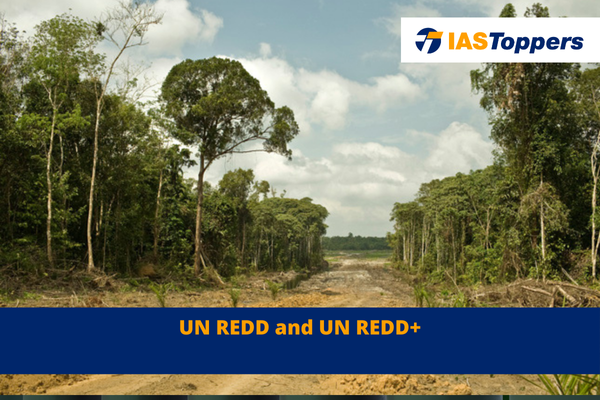 UN REDD and UN REDD+ ias toppers