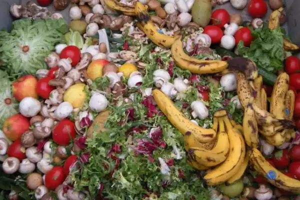 UNEP Food Waste IASToppers