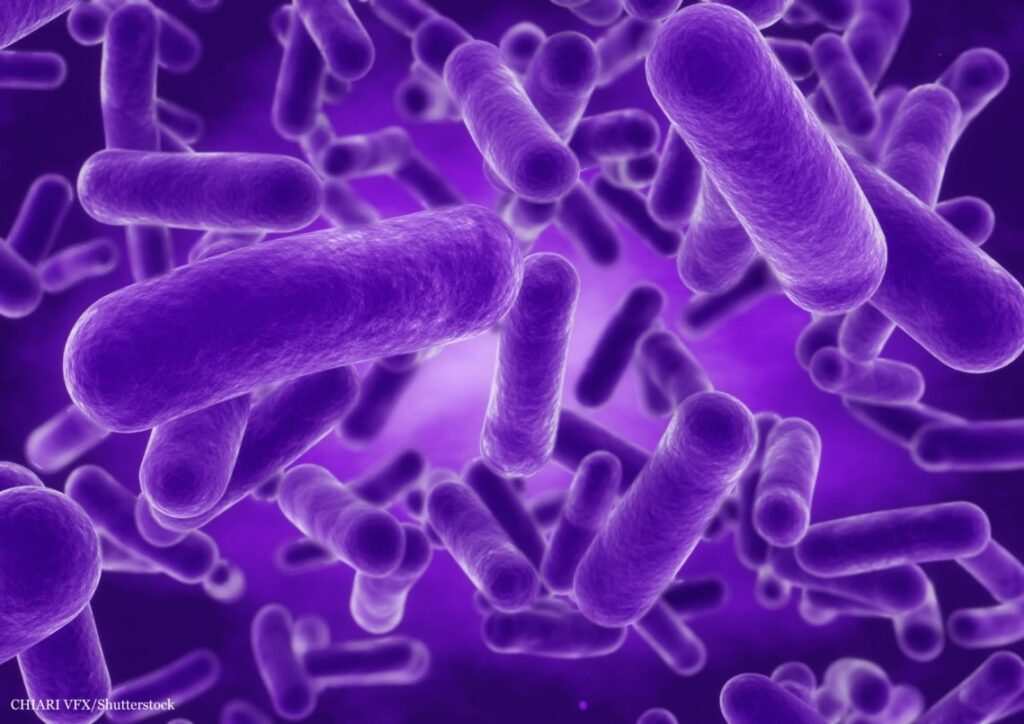 Bacterial Priority Pathogens List