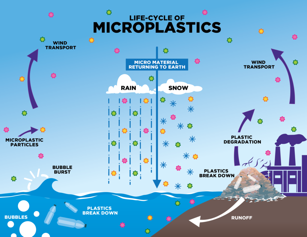 Where are microplastics been detected IAS Toppers