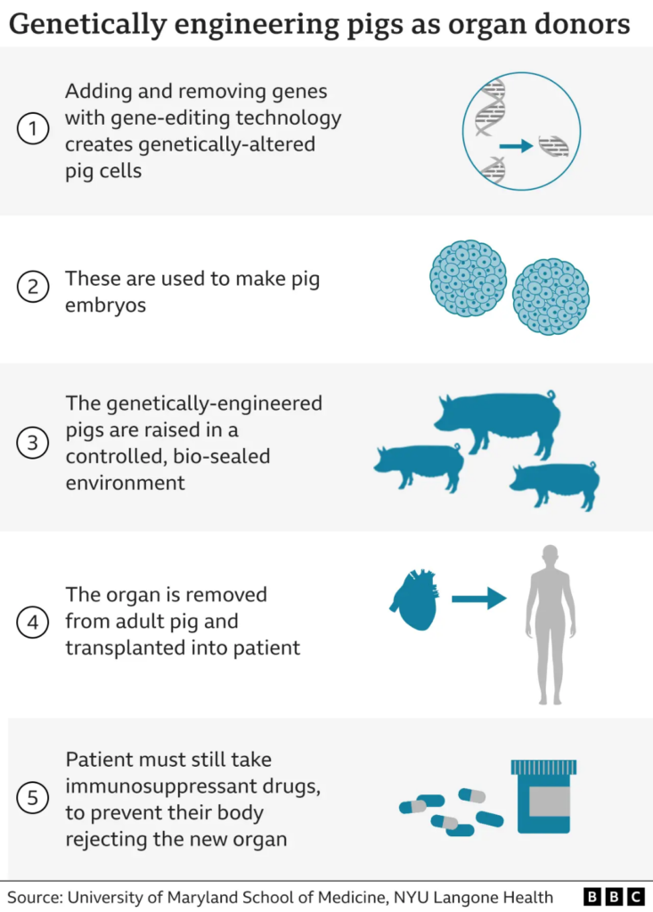 Xenotransplantation