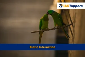 biotic interaction