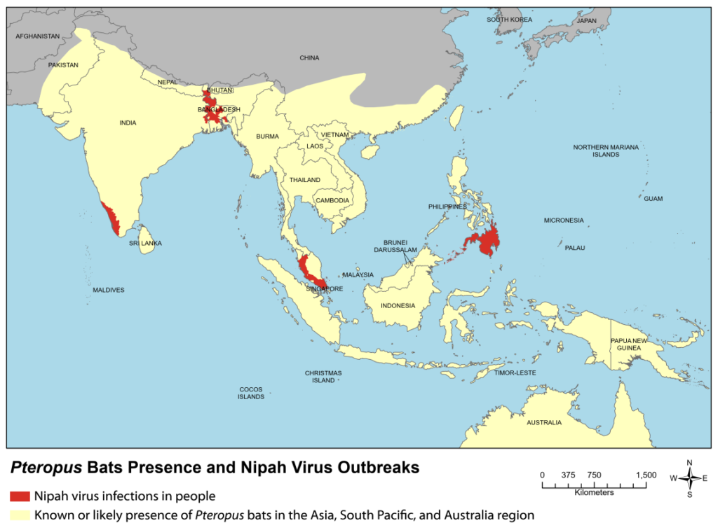 nipah virus images IAS Toppers