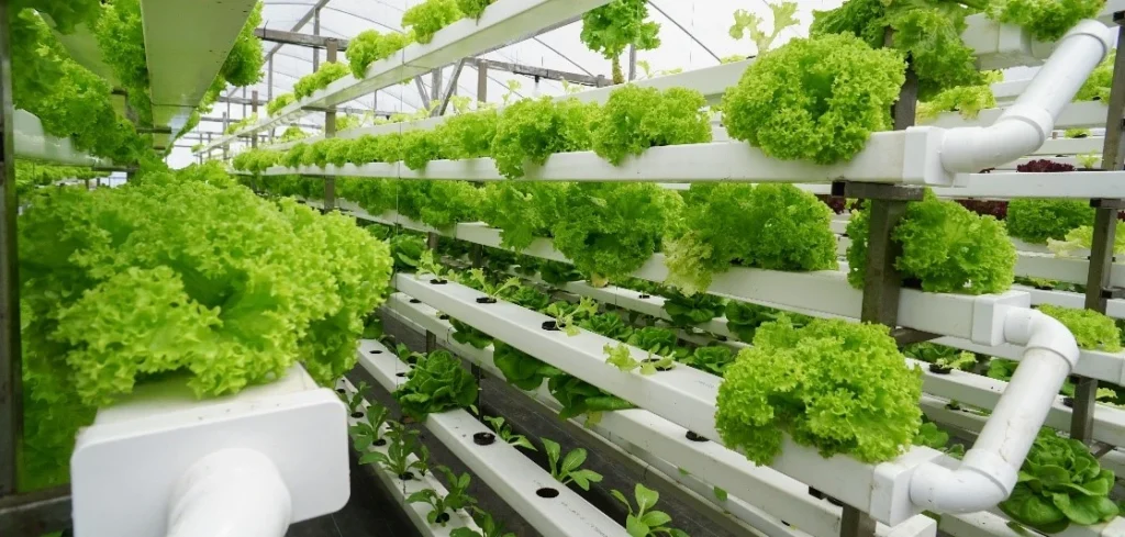 vertical farming images IAS Toppers