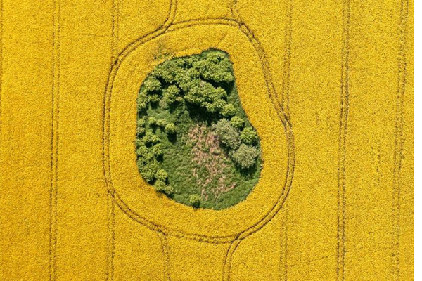 Land squeeze