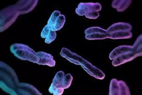 Chromosomal Disorders Detected ias toppers