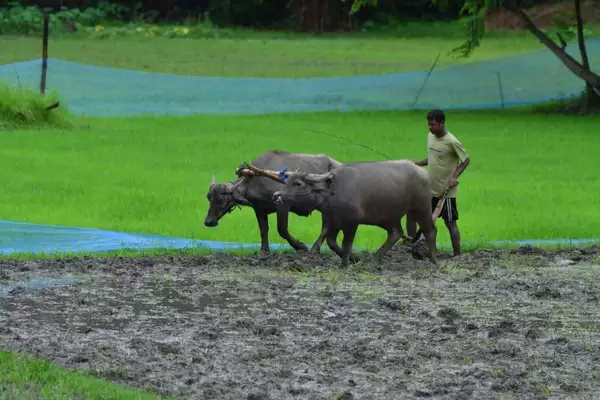 Centre expands financial support under Agricultural Infrastructure Fund (AIF)