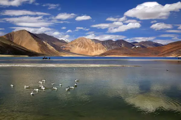 China constructs 400-meter bridge near Pangong Lake