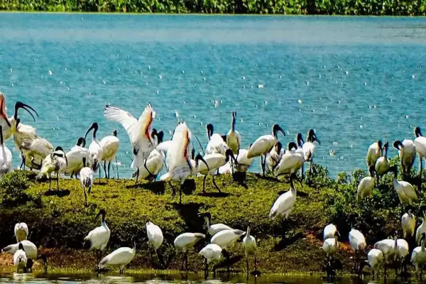 India’s Three more wetlands added to Ramsar Sites List