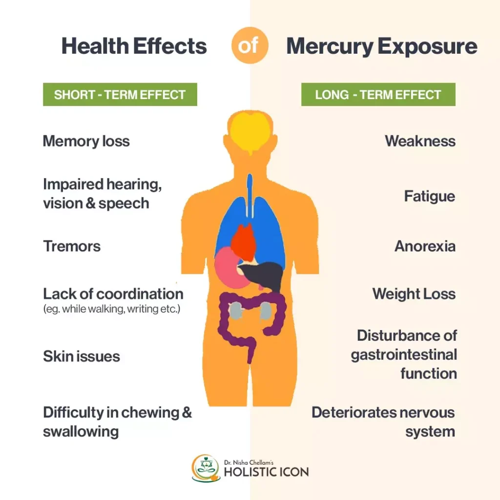 Mercury Release from Melting Permafrost in the Arctic 2