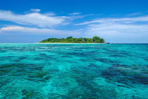 Ashoka seamount, Chandragupt ridge, and Kalpataru ridge