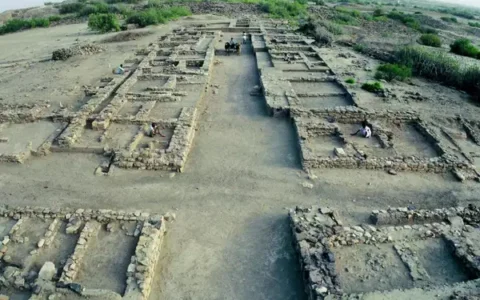 Harappan Civilisation A Century of Exploration and Enigmas