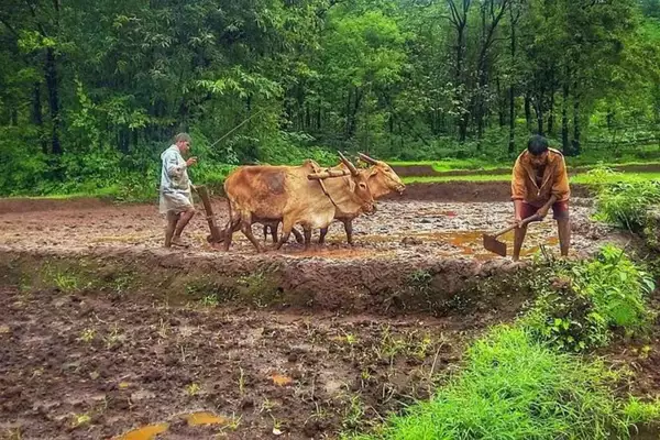 Pradhan Mantri Kisan Maandhan Yojana (PM-KMY)